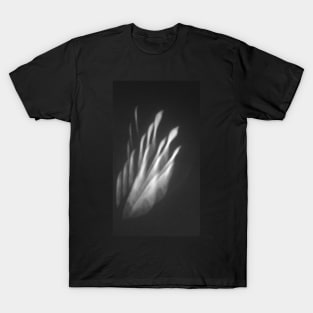 Transparent Feather T-Shirt